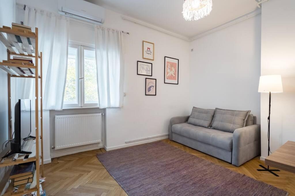 Downtown Cozy Apartment Old Town Букурещ Екстериор снимка